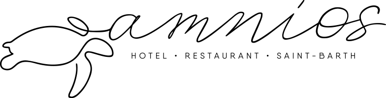 logo Amnios